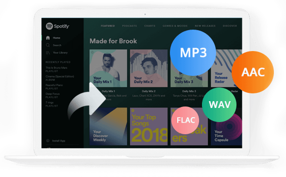 Spotify Music Converter