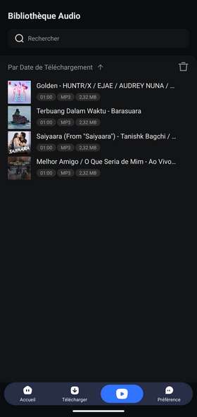 Consulter la musique Spotify téléchargée