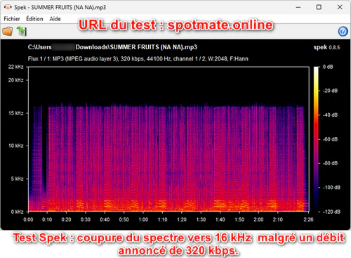 Spotify Playlist Downloader sans pub : spotidownloader.com