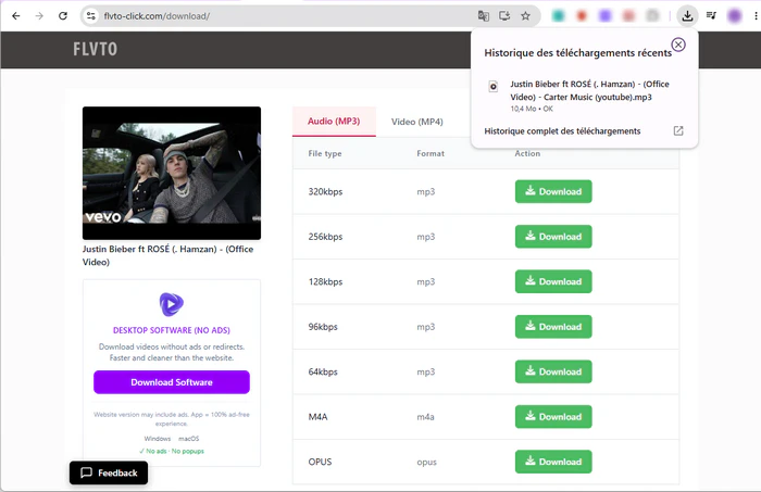 Vérifier des vidéos YouTube téléchargées sur Flvto